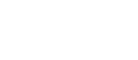 The Mobile Wash Company